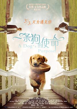 男男被触手疯狂入侵♂